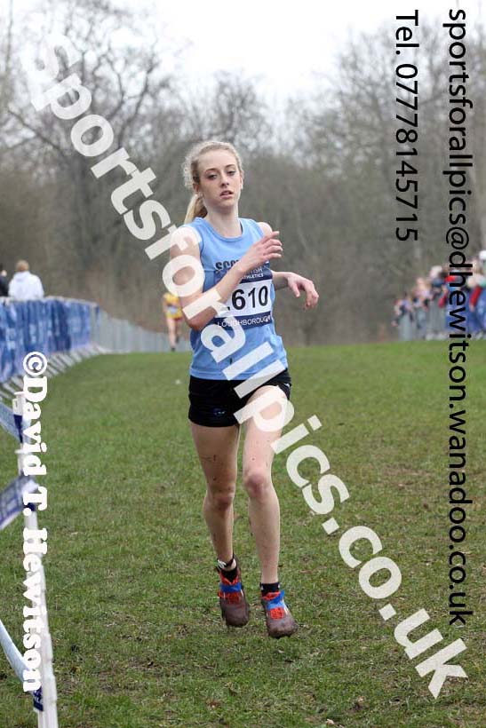 Womens under-20s Inter Counties Cross Country, Prestwold Hall, Loughborough. Photo: David T. Hewitson/Sports for All Pics